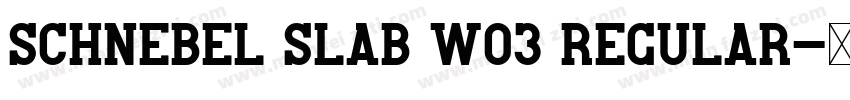 Schnebel Slab W03 Regular字体转换